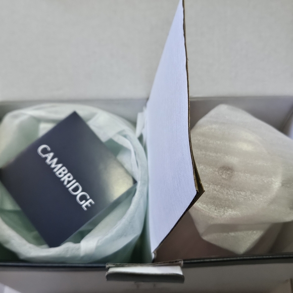 Wicked Inspired Lips Coupe Glass Set - Picture 5 of 7